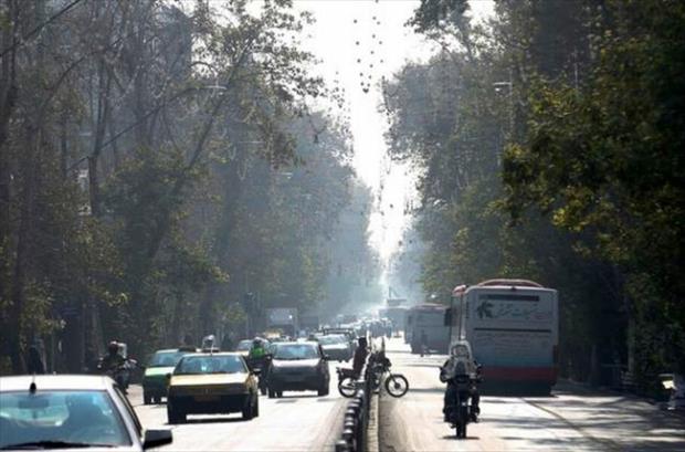 تردد 3 میلیون خودروی فرسوده، دلیل آلودگی هوای تهران است؟